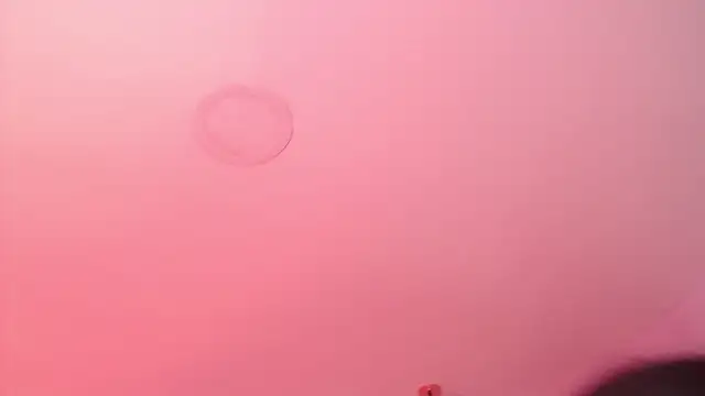 Liv20_のライブXXXチャット