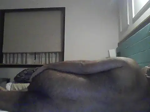 rarindam17 Live XXX-chat