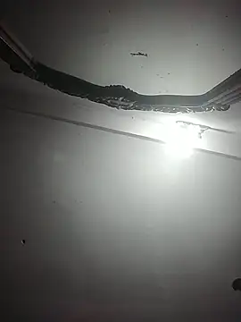 momo_loves 现场XXX聊天