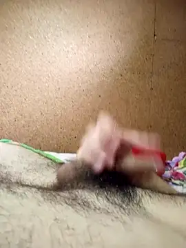 Show de AdaptingPrig na webcam