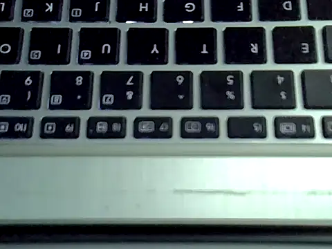 Delicious-D webkamerás műsora