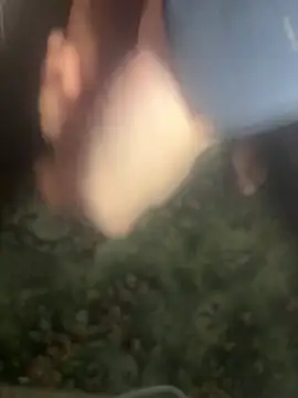 zozo971008 Webcam Show