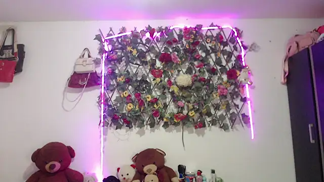 Chat +18 de sexysusan4you ao vivo