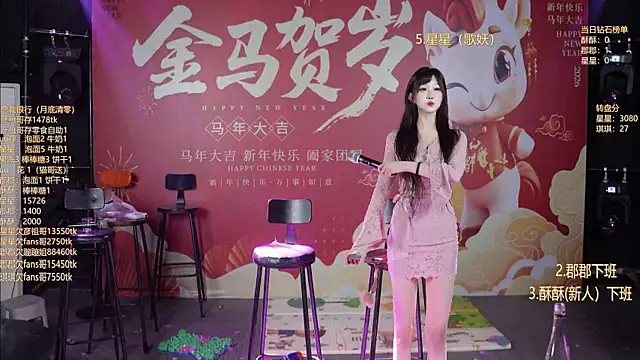 A848-01 网络视讯表演