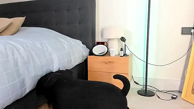 Chatroom XXX en direct de newmazee