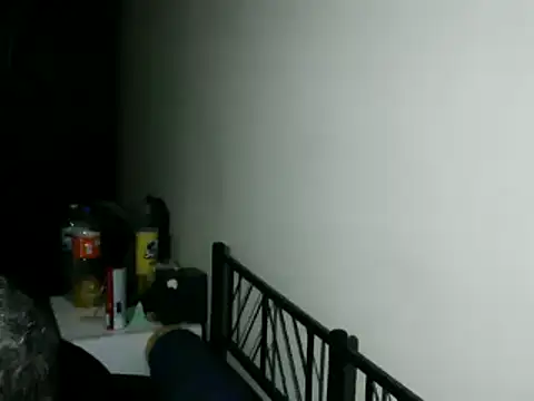 Show webcam de 100Tauros