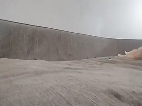 247Srokin 웹캠 쇼