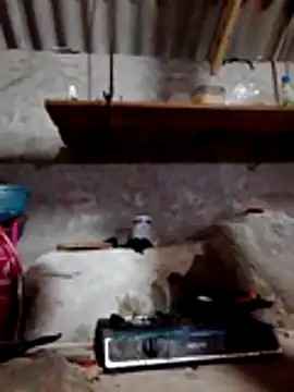 Show de donna-bae na webcam