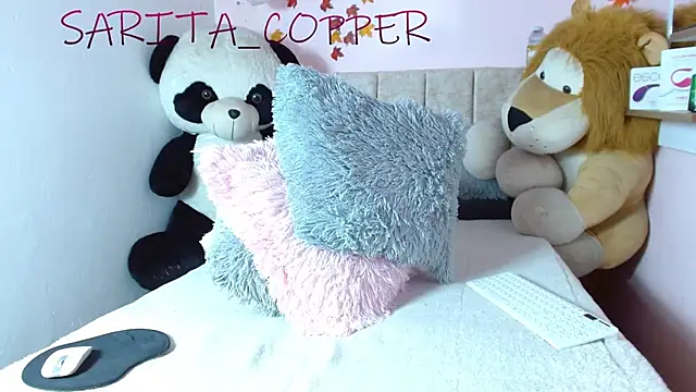 corsh_bunnyn Webbikameraesitys