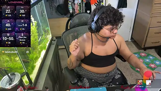 Show webcam de RudyRebel