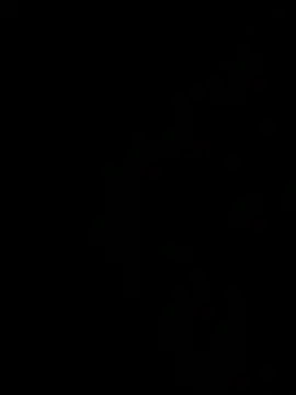 MatthewEmme webkamerás műsora