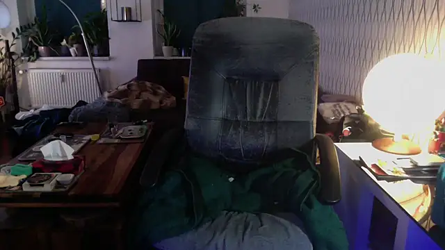 tomz0819 Show Webcam