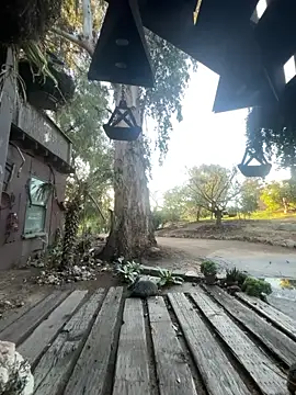 Онлайн чат XXX LilMissKaos