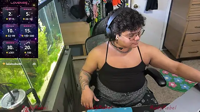 RudyRebel – Kamerová šou