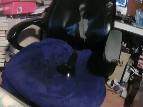 Tigerhill2023 webkamerás műsora