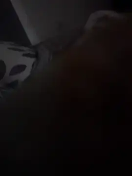 Pertunjukan Kamera Web ratoncito_3