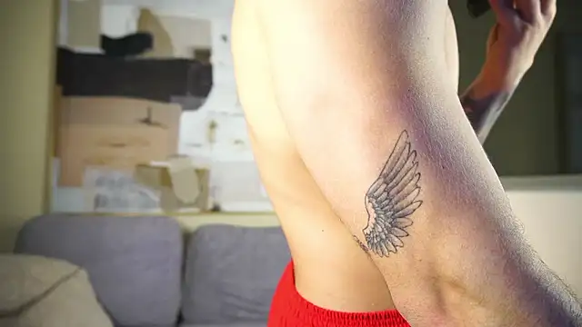 Paul_Phoenix – Live XXX-chat