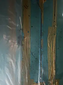 Slvbot202 网络视讯表演