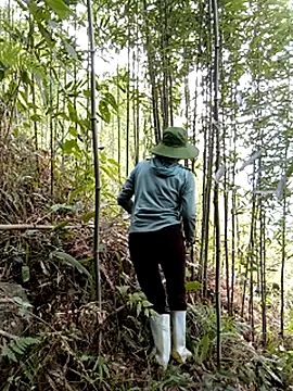 Chat XXX Live ngan-cute