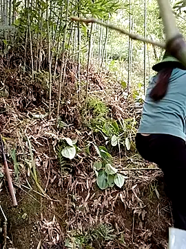 ngan-cute – Live XXX-chat