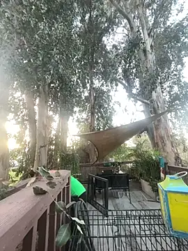 LilMissKaos Chat XXX live