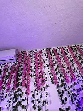 Czat XXX na żywo – Woo_isDaphne