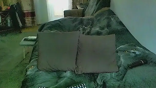 Show de webcam de sex2