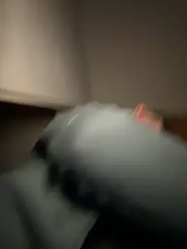 vinique99 live XXX chat