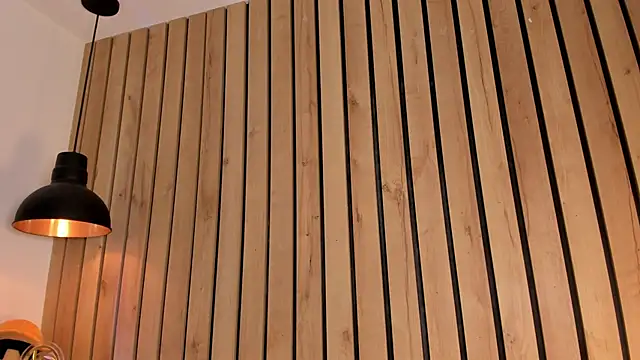 sofiesoft 现场XXX聊天