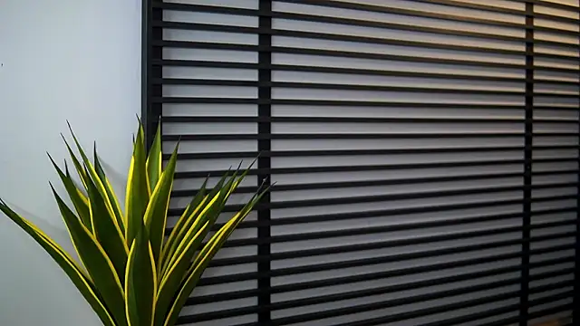 Czat XXX na żywo – KylieKroftt