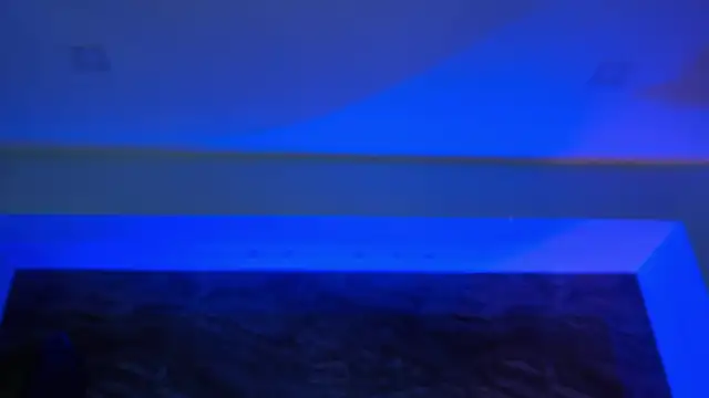 AngelicaVega 现场XXX聊天