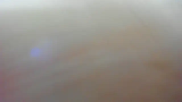 Jelly_Bee Chat XXX in diretta