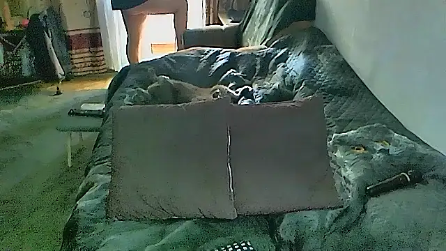 Chat XXX en directo de sex2