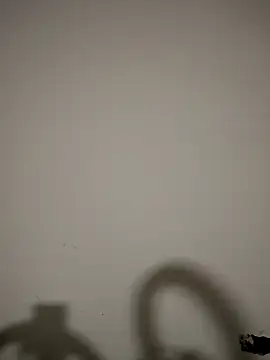 hotandfierylatinos2023 live XXX chat