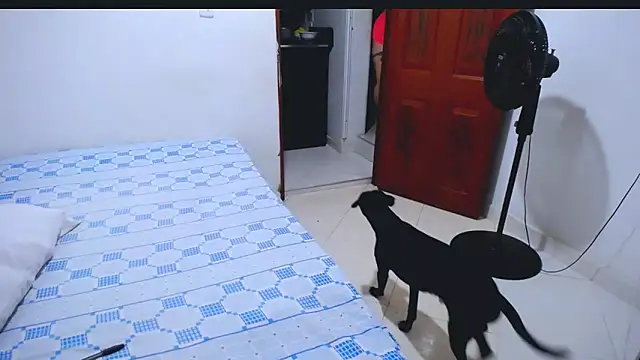 Hanny_9 – Naživo XXX chat