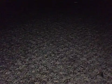 LongDickLance: вебкам-шоу