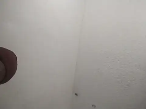 247Srokin: онлайн-секс-чат