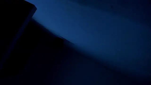 lia_quinn 라이브 XXX 채팅