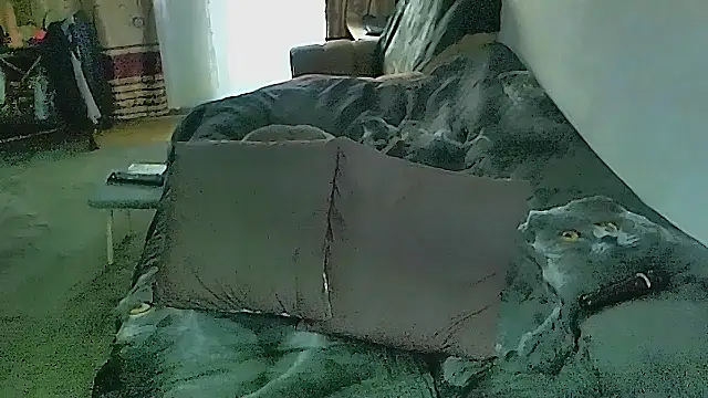 sex2のライブXXXチャット