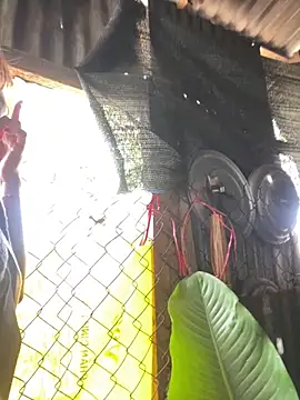 แชท XXX สดของ Linaannn