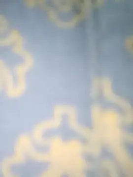 teena-11 – Kamerová šou