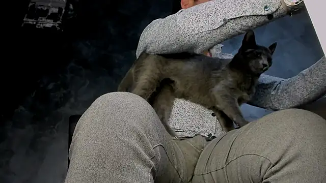 Master_Mark_Wayne 라이브 XXX 채팅