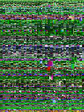 TranSexualJade95 Chat XXX live