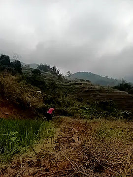 Hoa-tuylip 웹캠 쇼