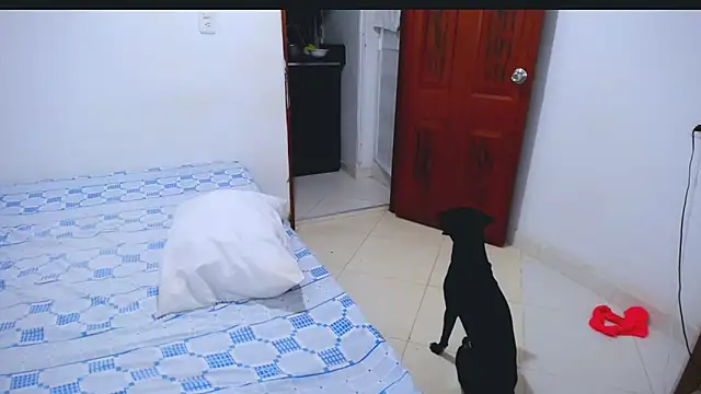 Hanny_9: απευθείας συνομιλία ΧΧΧ