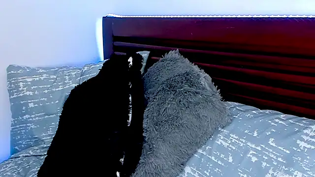 Chatroom XXX en direct de vanessa_saquirt