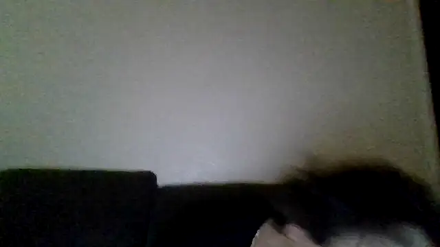 Tallhungandcloudy élő XXX-chatje