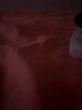 Chat +18 de curis4270panda ao vivo