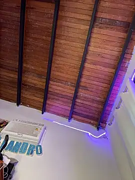 Chatroom XXX en direct de PrincesLeo