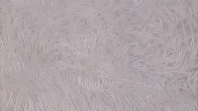 Sembang XXX Secara Langsung NakeshaPogar